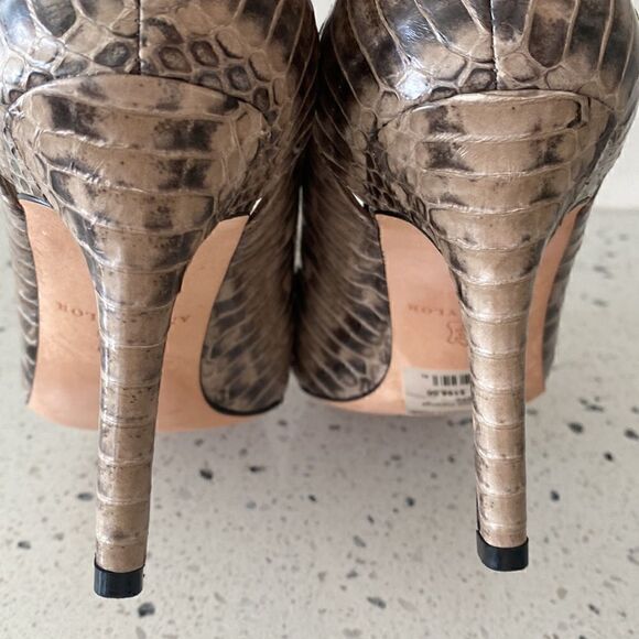 Ann Taylor Women\'s Snake Print Pointed Toe Leather Heel Pump Career Cocktail 7M